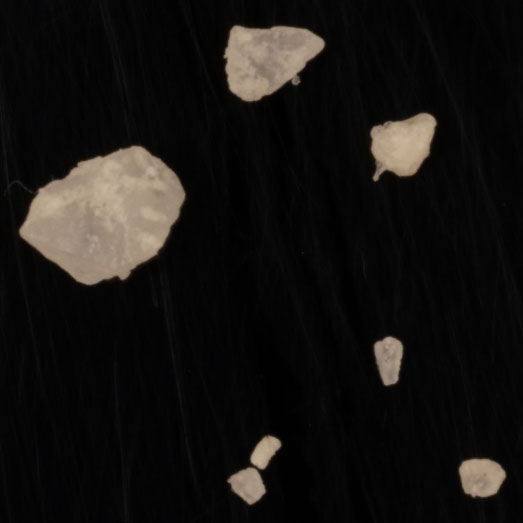 N-Ethylpentedron, erworben  als Mephedron, 06.02.2024 (Berlin)