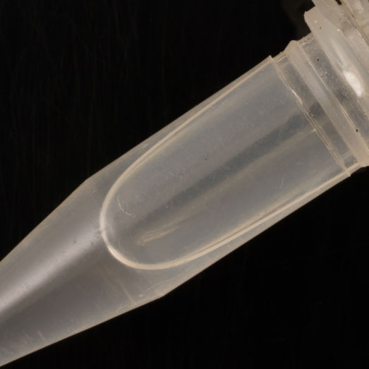 Ketamin-Lösung, erworben als Methamphetamin (Crystal Meth), 13.02.2024 (Berlin)