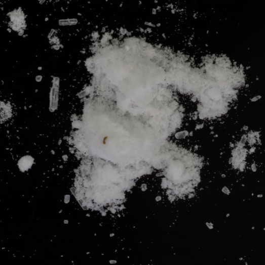 Ketamin, verunreinigt mit Tetramisol, 03.09.2024 (Berlin)