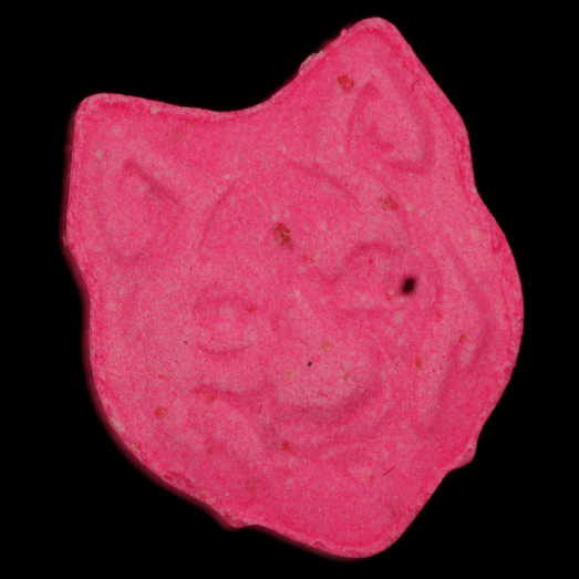 Wolf, 2C-B verunreinigt mit einer unbekannten Substanz, 04.09.2023 (Berlin)