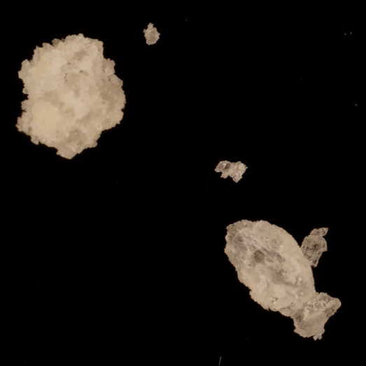 2-MMC, verunreinigt mit Kokain, erworben als 3-MMC, 17.06.2024 (Berlin)