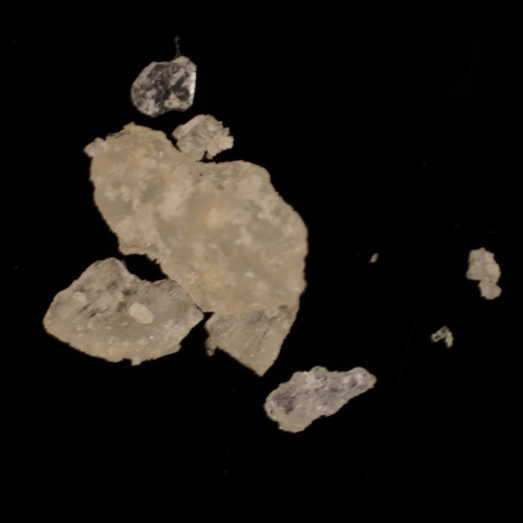 2-MMC, erworben als 3-MMC, 29.07.2024 (Berlin)