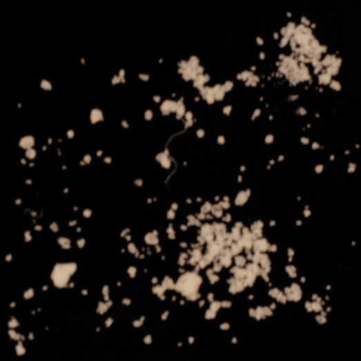 4-CMC (Clephedron), erworben als Mephedron (4-MMC), 29.07.2024 (Berlin)