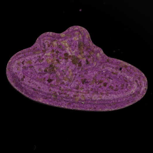 Pop Smoke / 300mg, extrem hochdosiertes MDMA, 12.08.2024 (Berlin)