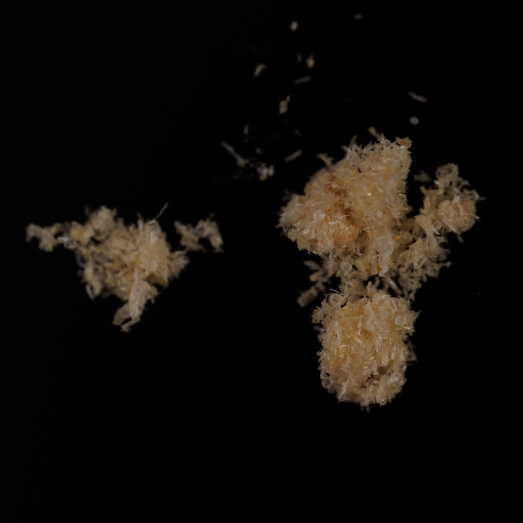 Mephedron (4-MMC), verunreinigt mit einer unbekannten Substanz, 14.01.2025 (Berlin)