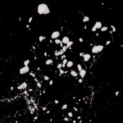 Koffein, erworben als Amphetamin, 11.07.2023 (Berlin)