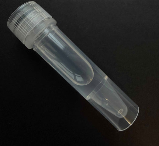 delta-9-THC, verunreinigt mit den synthetischen Cannabinoiden MDMB-4en-PINACA und ADB-BUTINACA, erworben als THC-Vape, 13.01.2026 (Berlin)