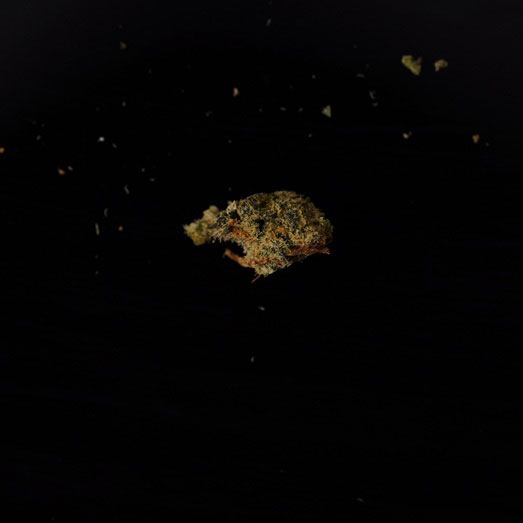 Cannabis, verunreinigt mit den synthetischen Cannabinoiden MDMB-4en-PINACA, 16.12.2025 (Berlin)